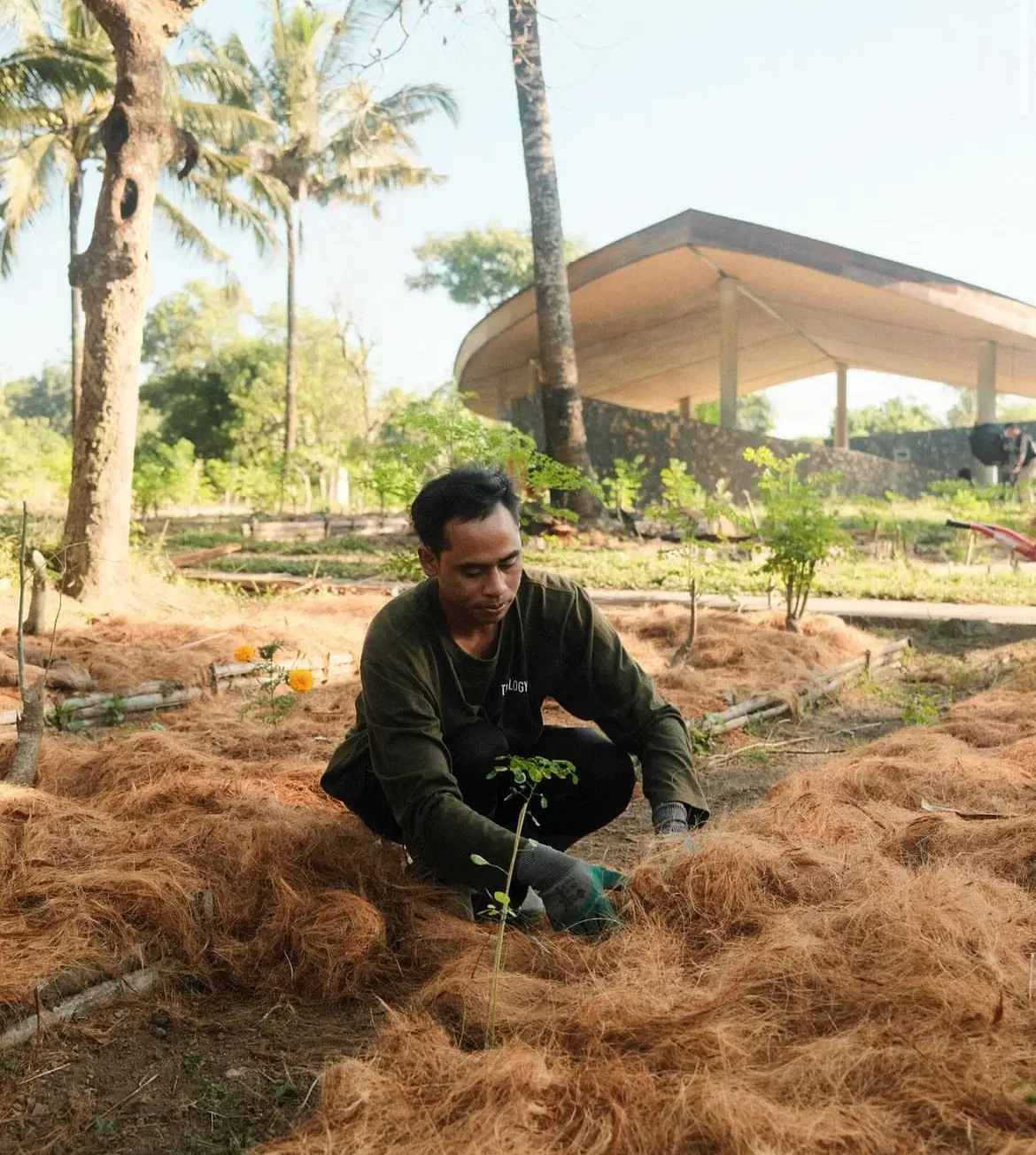 Treelogy farmers working in the field