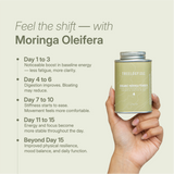Day-by-day benefit chart for moringa powder use showing improvement in energy, digestion, clarity, and mood balance.