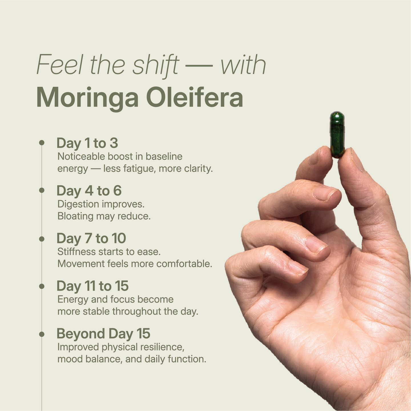 Moringa capsule opened in hand showing powdered green content; labeled organic, plant-based, no fillers, dehydrated at 38°C.