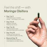 Moringa capsule opened in hand showing powdered green content; labeled organic, plant-based, no fillers, dehydrated at 38°C.