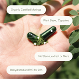 Side-by-side comparison of Treelogy vs other capsule brands showing purity, traceability, and global organic certifications.
