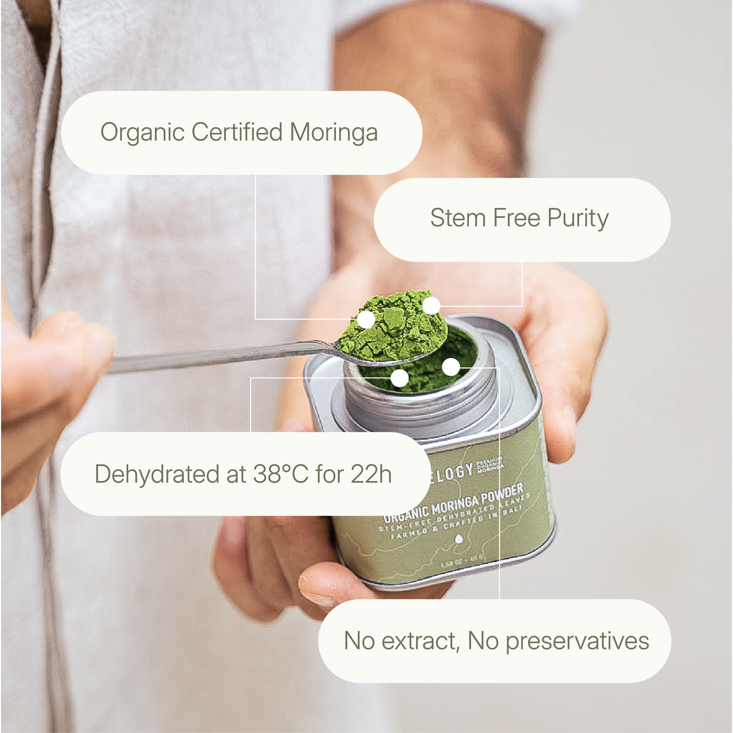 Close-up of moringa powder on a spoon highlighting key product features: stem-free, no extract, organic, and dehydrated at 38°C.
