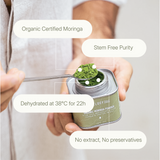 LANG:EN|Close-up of moringa powder on a spoon highlighting key product features: stem-free, no extract, organic, and dehydrated at 38°C.