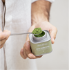 Organic Moringa Powder