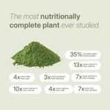 Moringa powder nutrition chart showing it's richer in protein, fiber, vitamins, calcium, and iron compared to common superfoods.