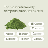 Green moringa powder surrounded by nutrition claims comparing it to oats, spinach, bananas, carrots, milk, and matcha.