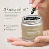 Kaleng Treelogy Moringa Capsules terbuka dengan panduan dosis, menyarankan 3 kapsul per hari, sebaiknya di pagi hari dengan makanan.