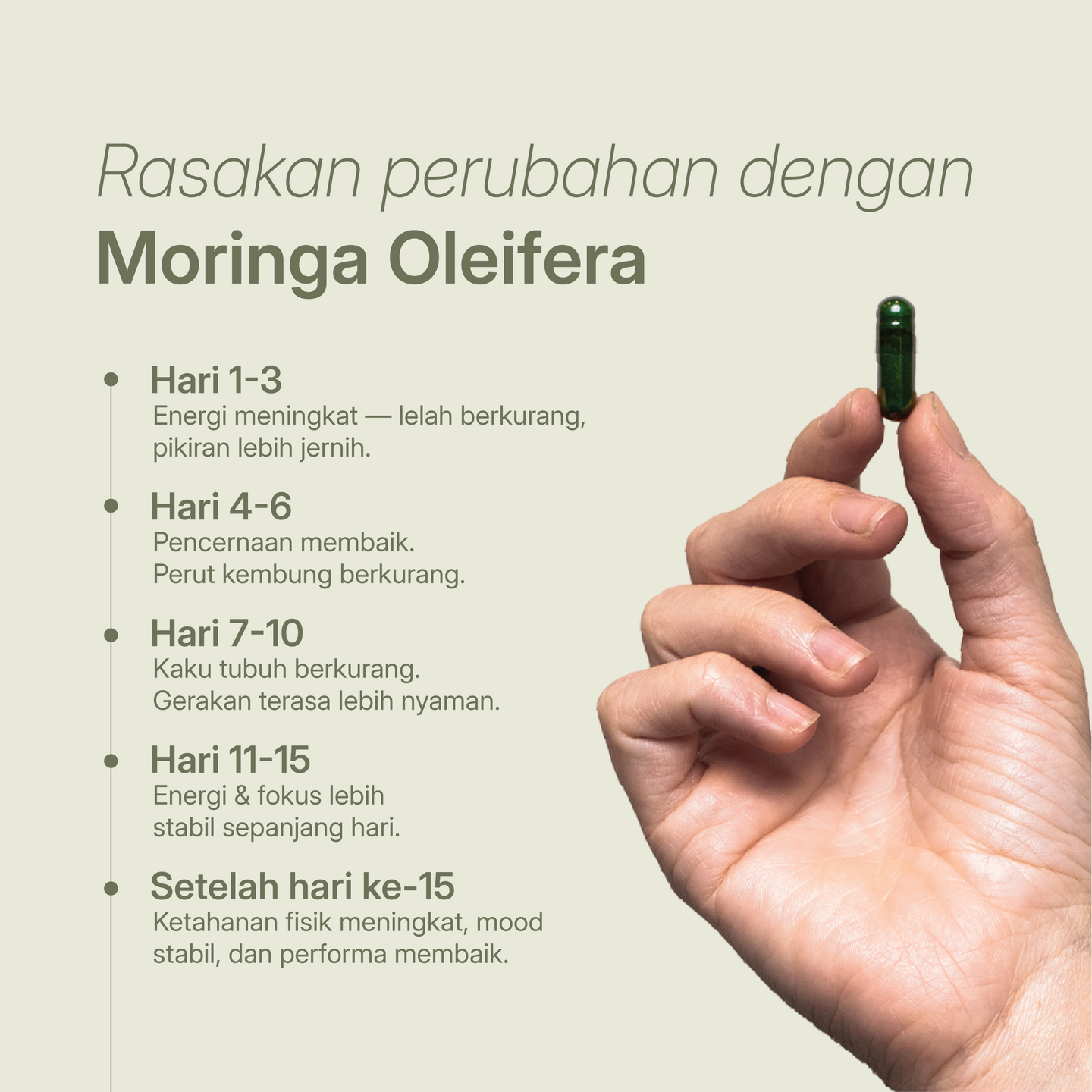 Grafik harian manfaat kapsul moringa untuk energi, pencernaan, kenyamanan sendi, fokus, dan daya tahan fisik.