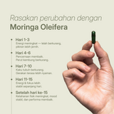 Grafik harian manfaat kapsul moringa untuk energi, pencernaan, kenyamanan sendi, fokus, dan daya tahan fisik.