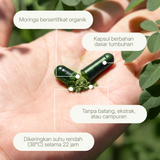 Kapsul moringa terbuka di tangan menampilkan bubuk hijau; diberi label organik, berbasis tanaman, tanpa bahan pengisi, dikeringkan pada 38°C.
