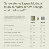 Perbandingan berdampingan Treelogy vs merek kapsul lain menunjukkan kemurnian, keterlacakan, dan sertifikasi organik global.