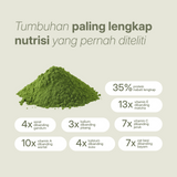 Bubuk moringa hijau dikelilingi klaim nutrisi, membandingkannya dengan oat, bayam, pisang, wortel, susu, dan matcha.