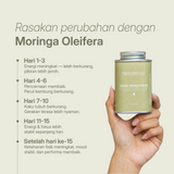 Close-up bubuk moringa di sendok menyoroti fitur utama produk: bebas tangkai, tanpa ekstrak, organik, dan dikeringkan pada 38°C.