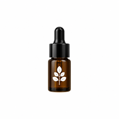 Moringa Seed Oil 3ml