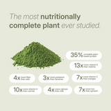 LANG:EN|Green moringa powder surrounded by nutrition claims comparing it to oats, spinach, bananas, carrots, milk, and matcha.