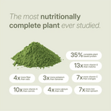 LANG:EN|Green moringa powder surrounded by nutrition claims comparing it to oats, spinach, bananas, carrots, milk, and matcha.