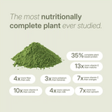 LANG:EN|Moringa powder nutrition chart showing it's richer in protein, fiber, vitamins, calcium, and iron compared to common superfoods.