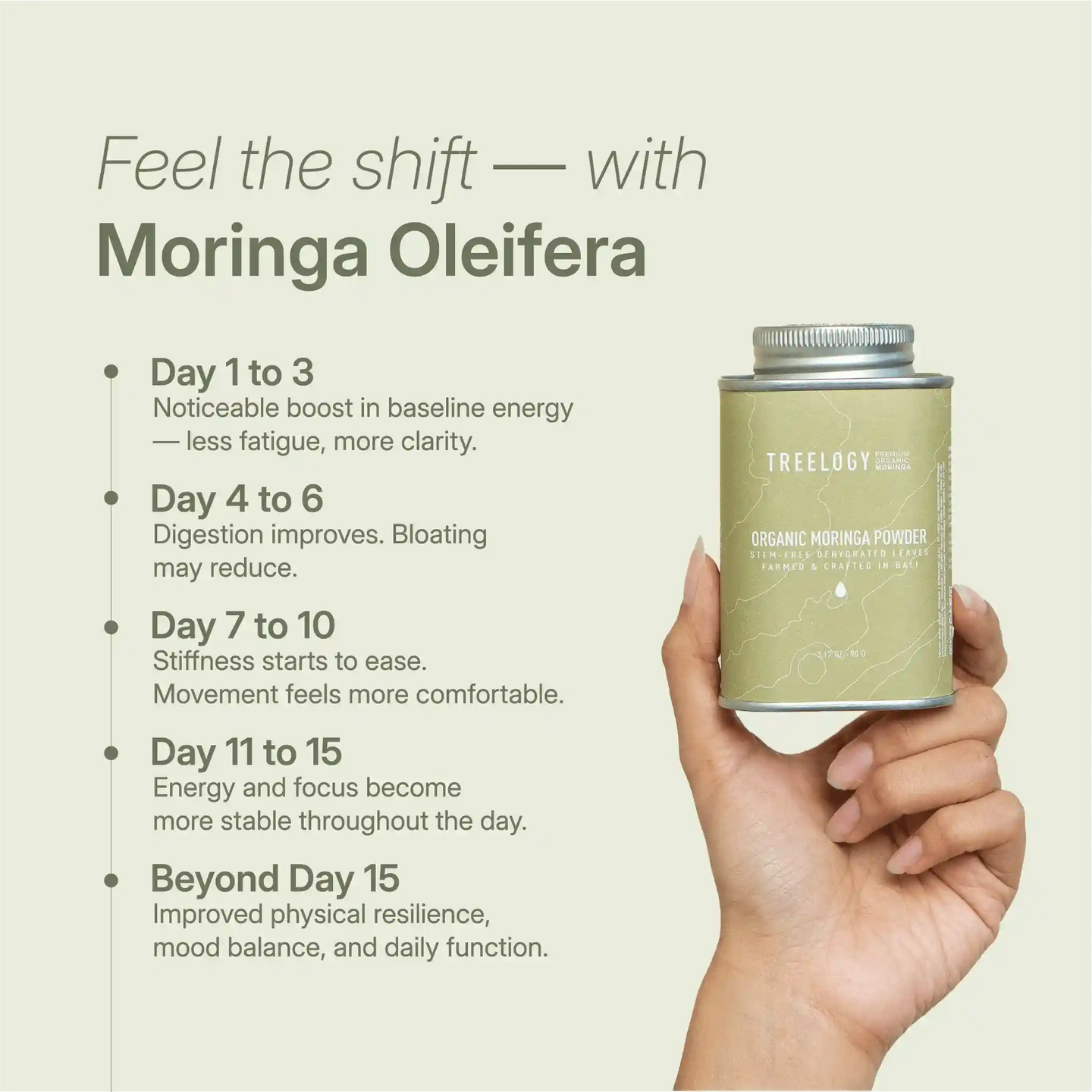 Day-by-day benefit chart for moringa powder use showing improvement in energy, digestion, clarity, and mood balance.