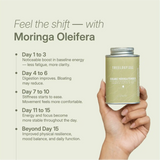 LANG:EN|Day-by-day benefit chart for moringa powder use showing improvement in energy, digestion, clarity, and mood balance.