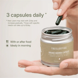 LANG:EN|Day-by-day chart of moringa capsule benefits for energy, digestion, joint comfort, focus, and physical resilience.