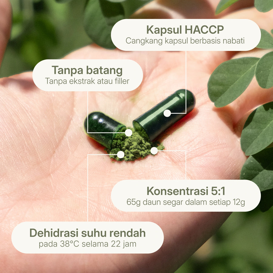 Kapsul bebas batang, konsentrasi 5:1