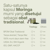LANG:ID|A detailed comparison table in Indonesian showing Treelogy Organic Moringa Capsules versus other brands. The title reads: 'Satu-satunya kapsul Moringa murni yang disetujui sebagai obat tradisional'. Rows compare BPOM status, purity, stem-free content, organic certifications, and ISO/GMP standards. Product of Bali, Indonesia.