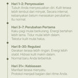 LANG:ID|A vertical timeline infographic in Indonesian detailing the benefits of Treelogy Moringa over time. Sections include: 'Hari 1–2: Penyesuaian', 'Hari 3–7: Perubahan Pertama', 'Hari 8–30: Regulasi', and 'Hari 31+: Kebiasaan'. It outlines specific effects on skin, energy, and sleep. A Bali, Indonesia, wellness calendar.