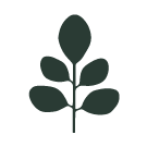 Treelogy logo