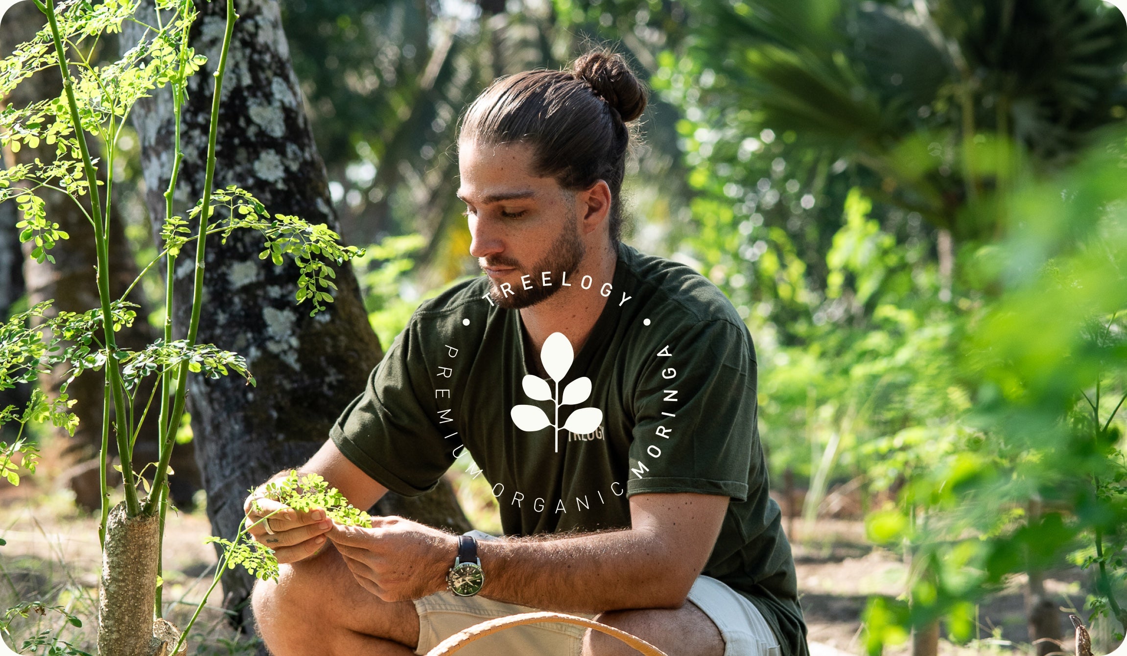 Sacha memetik daun moringa di kebun Treelogy di Bali