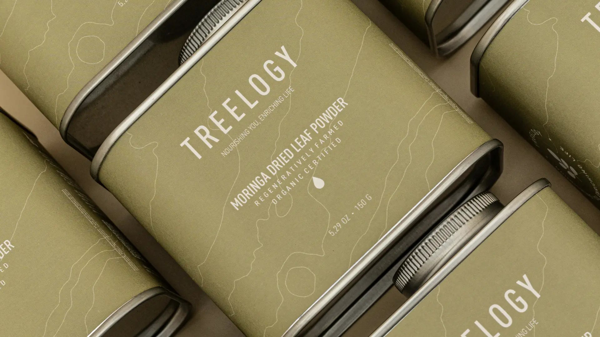 Flat lay moringa dried leaf powder in cans