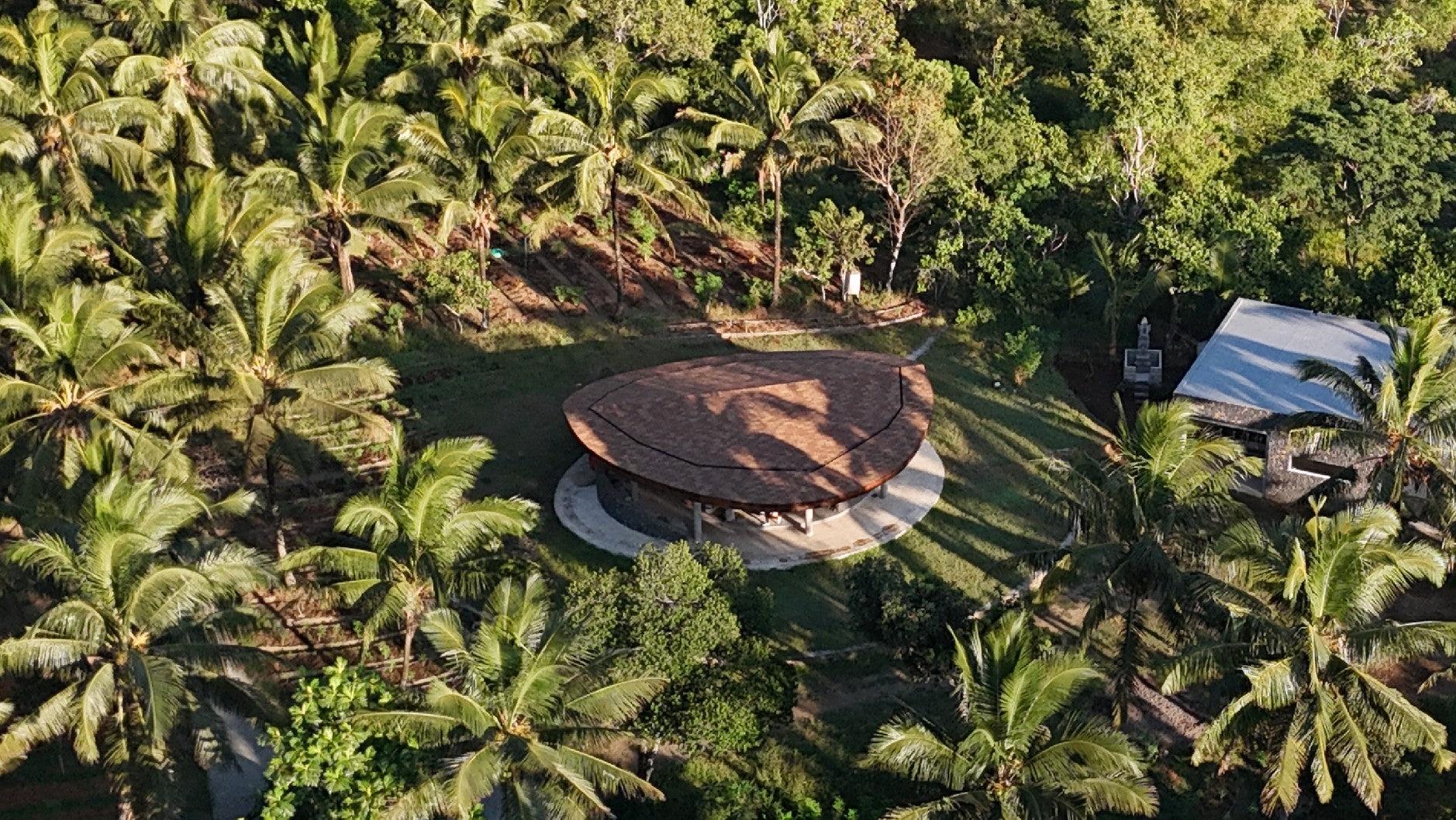 Foto udara kebun moringa Treelogy di antara pohon kelapa