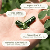 LANG:ID|Detail kapsul nabati Treelogy dengan konsentrasi 5:1 dari 65g daun segar yang didehidrasi pada suhu rendah untuk menjaga potensi nutrisi.