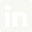 LinkedIn Icon