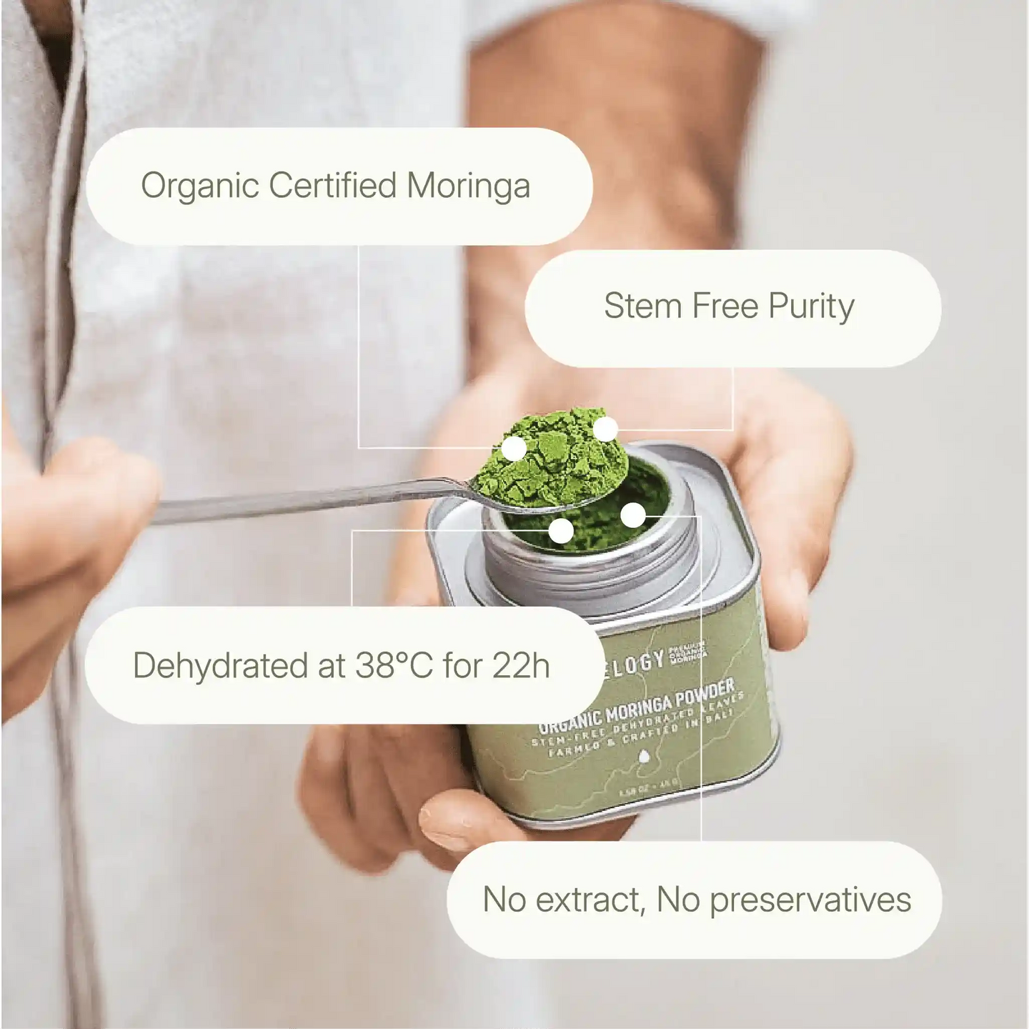 Close-up of moringa powder on a spoon highlighting key product features: stem-free, no extract, organic, and dehydrated at 38°C.
