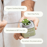 LANG:EN|Close-up of moringa powder on a spoon highlighting key product features: stem-free, no extract, organic, and dehydrated at 38°C.