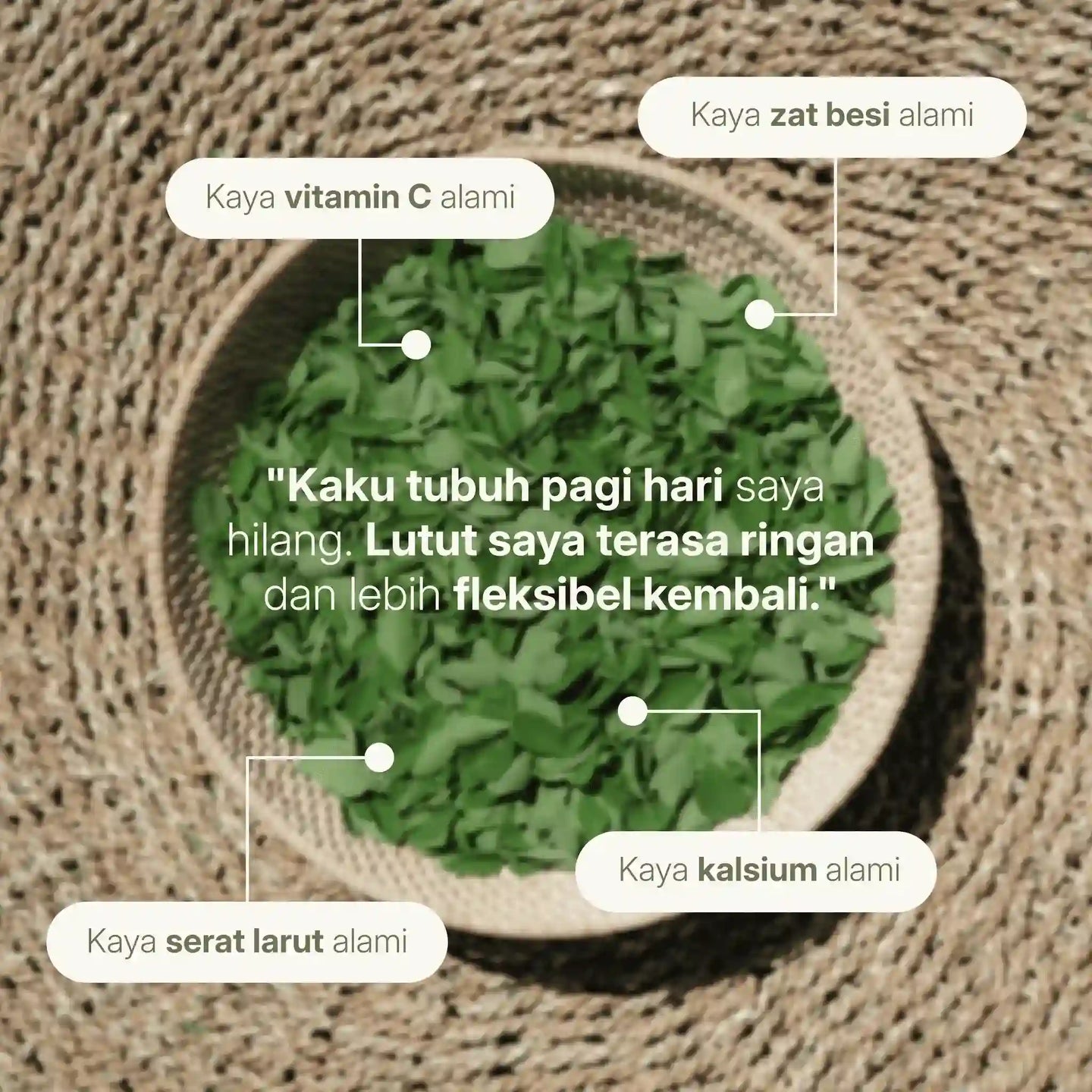 Daun kelor segar pilihan yang kaya akan zat besi dan kalsium alami untuk membantu mengelola kaku tubuh dan kelenturan sendi.