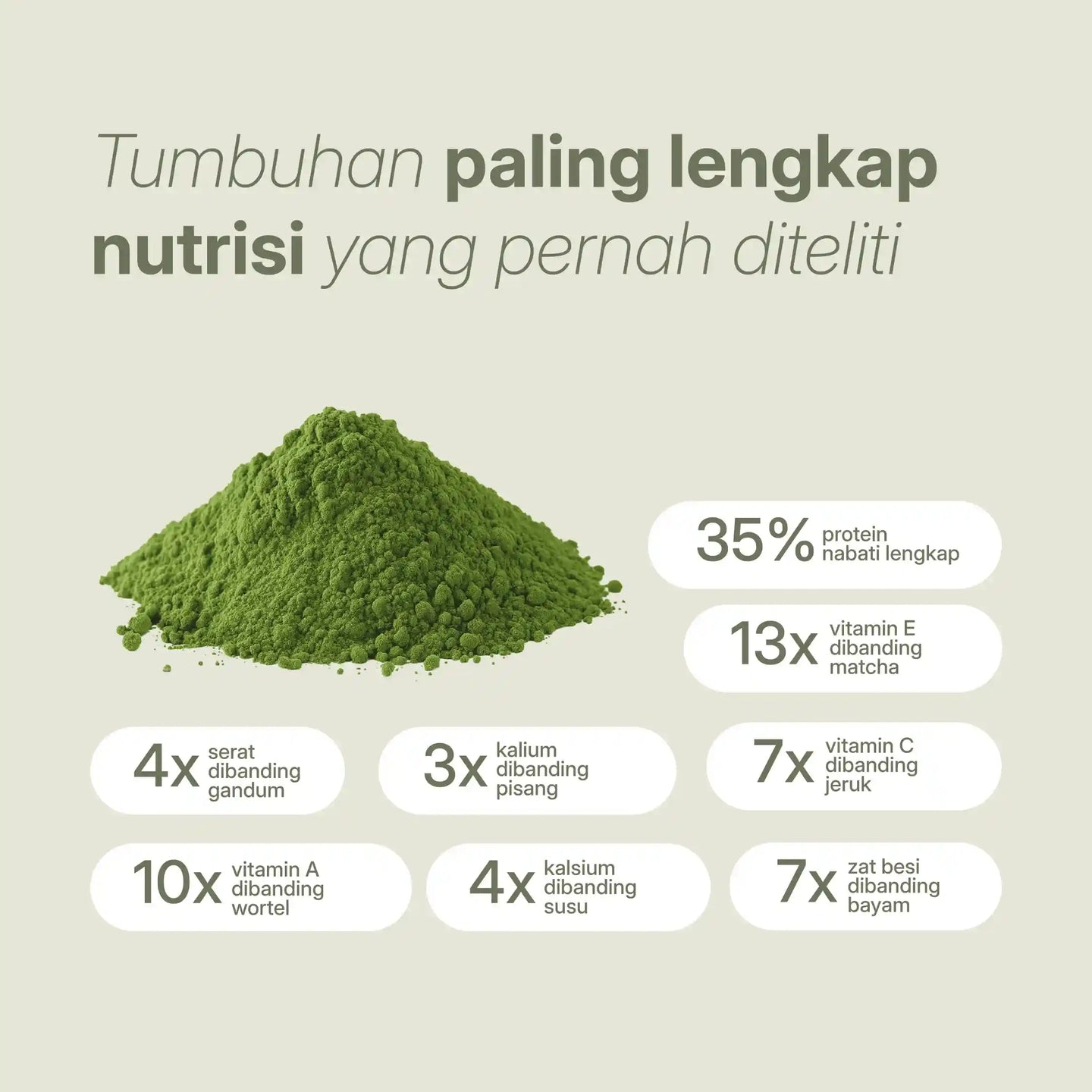 Bagan nutrisi bubuk moringa yang menunjukkan lebih kaya protein, serat, vitamin, kalsium, dan zat besi dibandingkan superfood umum.