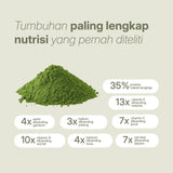 LANG:ID|Bagan nutrisi bubuk moringa yang menunjukkan lebih kaya protein, serat, vitamin, kalsium, dan zat besi dibandingkan superfood umum.