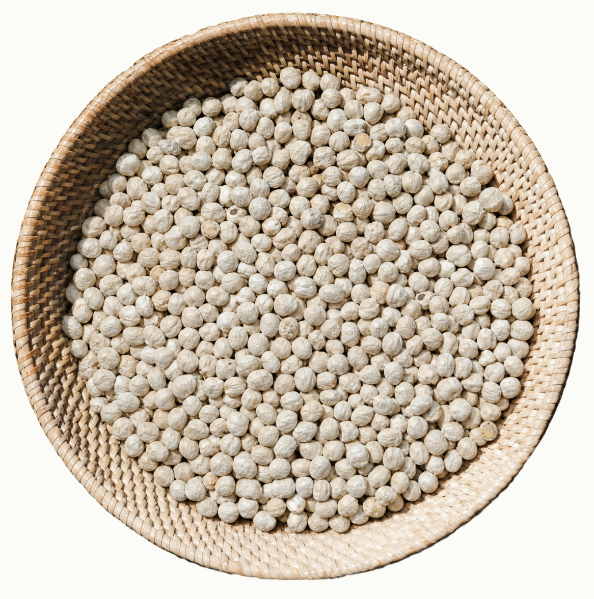 Biji moringa