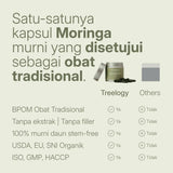 LANG:ID|Tabel perbandingan menunjukkan Treelogy sebagai satu-satunya protokol kelor murni tanpa batang dan filler yang disetujui BPOM sebagai Obat Tradisional.