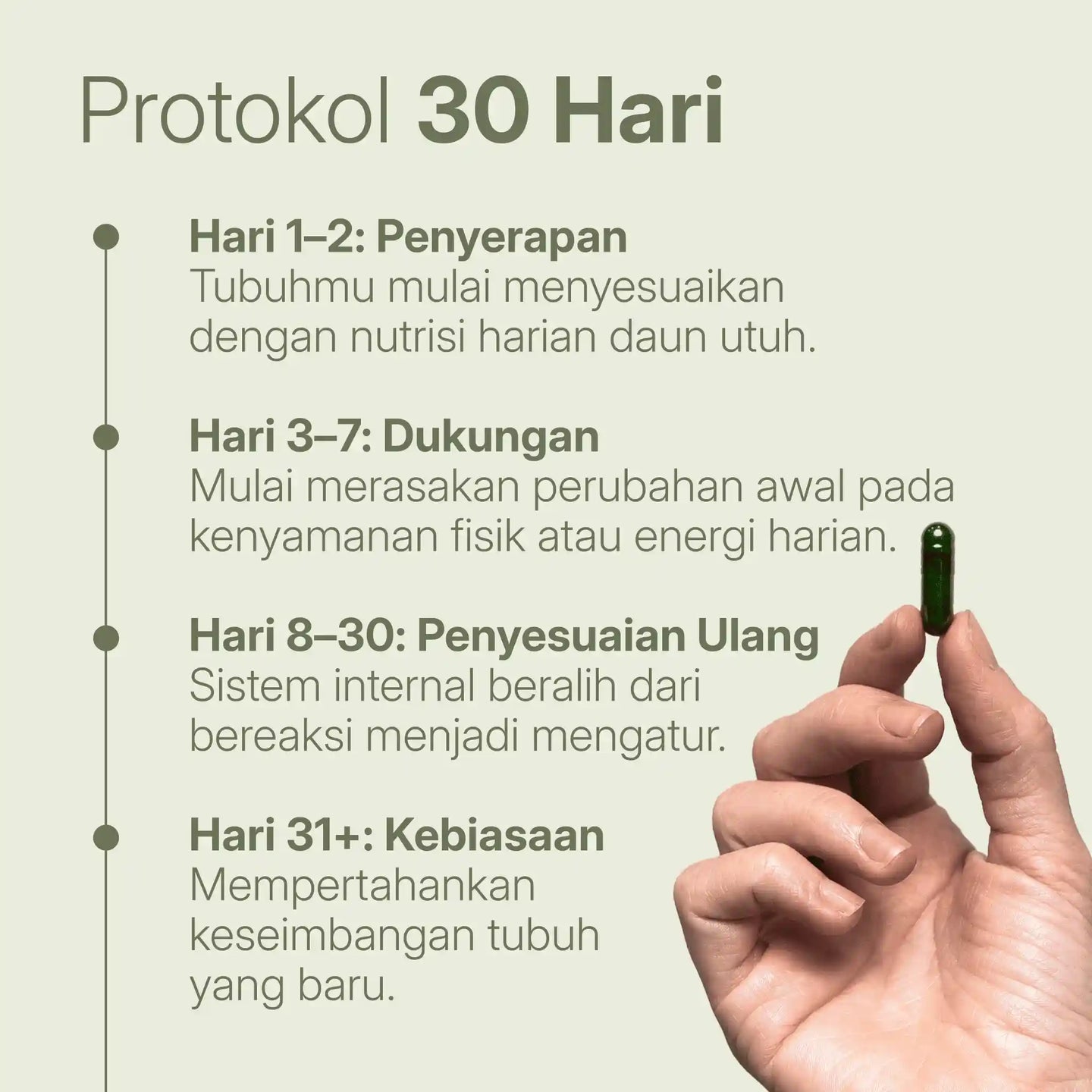 Peta jalan 30 hari Treelogy: mulai dari fase penyerapan, dukungan fisik, hingga penyesuaian ulang sistem internal tubuh secara menyeluruh.