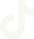 tiktok icon