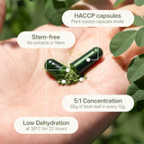 LANG:EN|A plant-based capsule showing Treelogy's 5:1 concentration—65g of fresh leaf reduced to 12g of high-potency powder for efficient absorption.