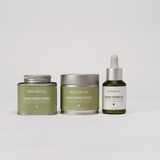 Treelogy’s full moringa collection — Organic Powder, Capsules, and Cold-Pressed Seed Oil — farmed and crafted in Bali.