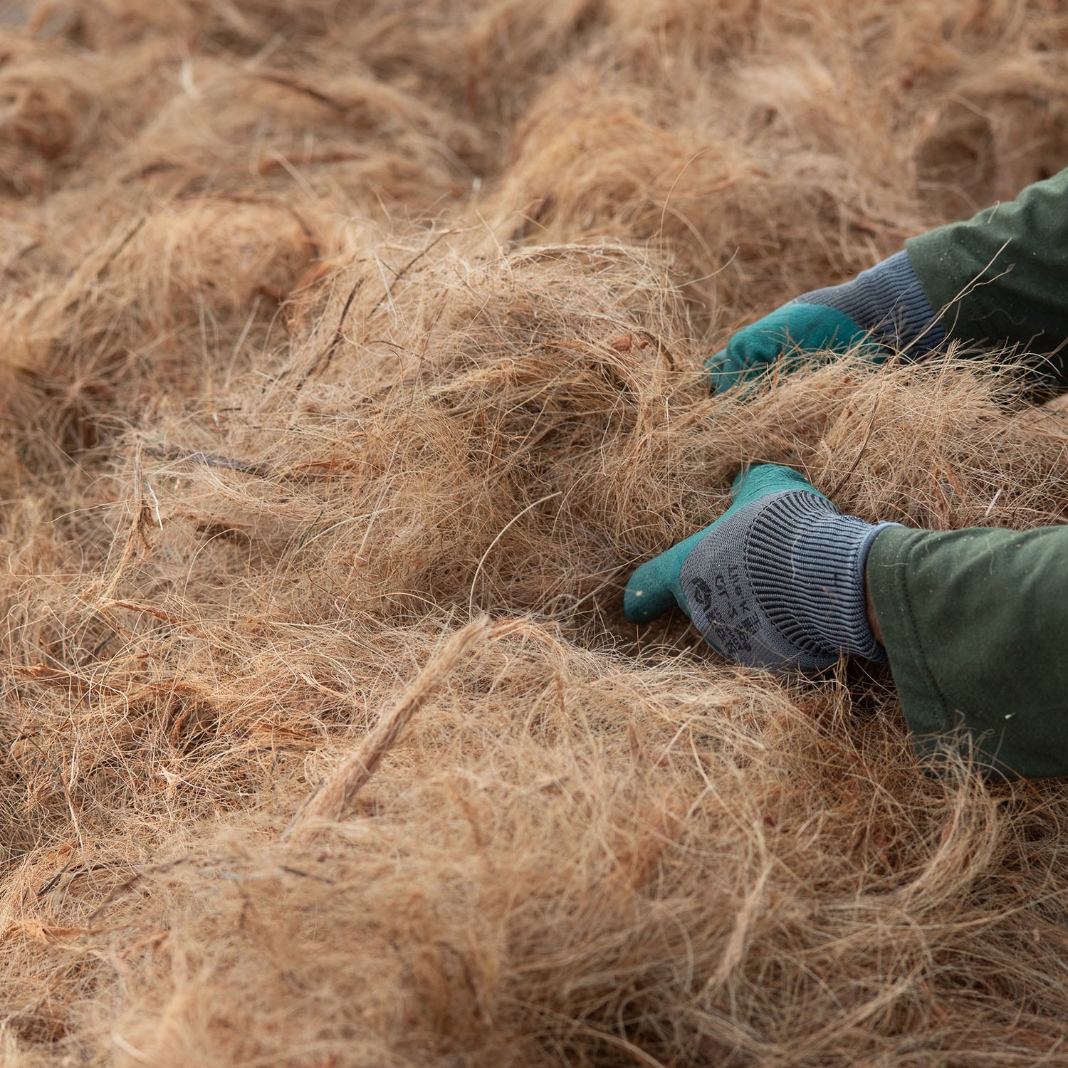 Gloved hands sorting through natural plant fibers, highlighting sustainable material processing.