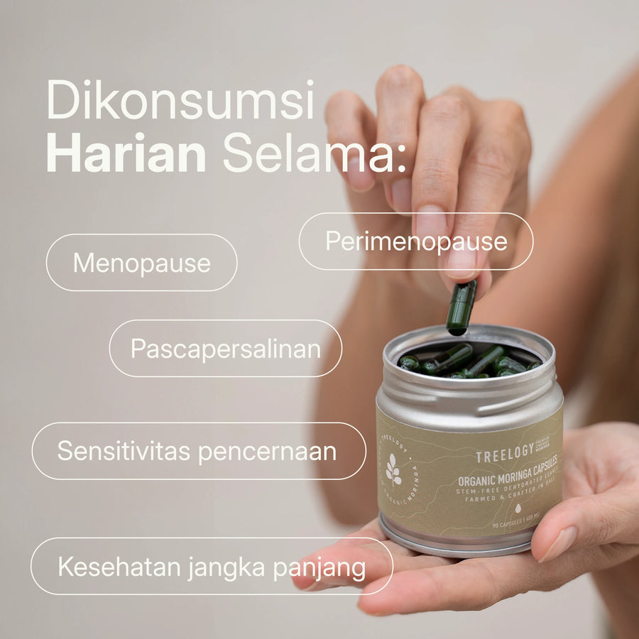 Kaleng Organic Moringa Capsules di tangan